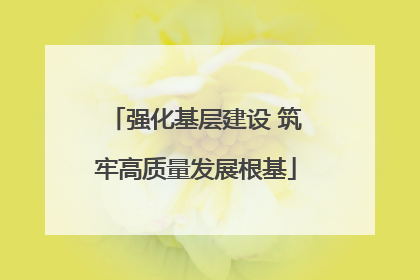 强化基层建设 筑牢高质量发展根基
