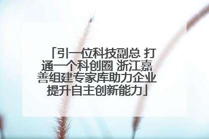 引一位科技副总 打通一个科创圈 浙江嘉善组建专家库助力企业提升自主创新能力