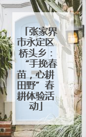 张家界市永定区桥头乡：“手挽春苗，心耕田野”春耕体验活动