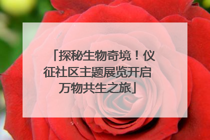 探秘生物奇境！仪征社区主题展览开启万物共生之旅