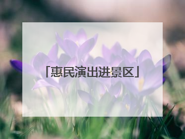 惠民演出进景区