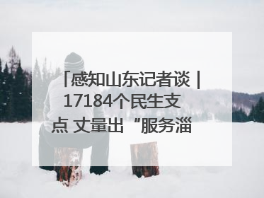 感知山东记者谈｜17184个民生支点 丈量出“服务淄博”的文明温度