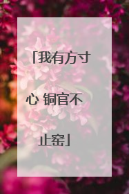 我有方寸心 铜官不止窑