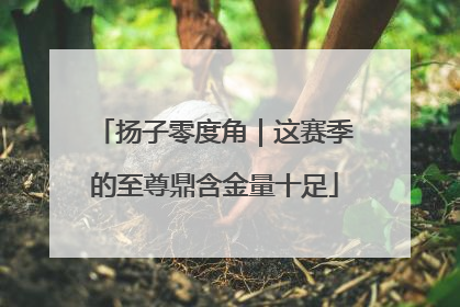 扬子零度角｜这赛季的至尊鼎含金量十足