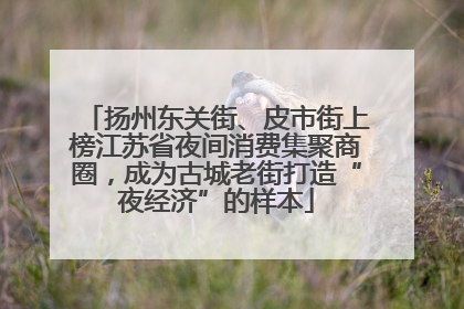 扬州东关街、皮市街上榜江苏省夜间消费集聚商圈，成为古城老街打造“夜经济”的样本
