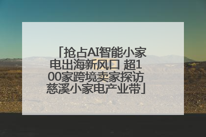 抢占AI智能小家电出海新风口 超100家跨境卖家探访慈溪小家电产业带