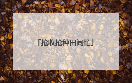 抢收抢种田间忙