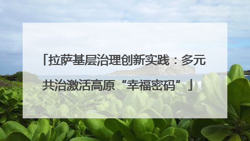 拉萨基层治理创新实践：多元共治激活高原“幸福密码”