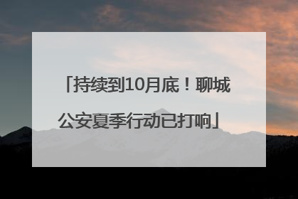 持续到10月底！聊城公安夏季行动已打响