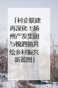 村企联建再深化！扬州产发集团与槐泗镇共绘乡村振兴新蓝图