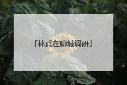 林武在聊城调研