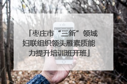枣庄市“三新”领域妇联组织领头雁素质能力提升培训班开班