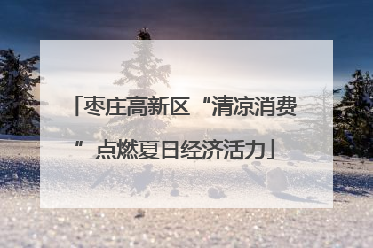 枣庄高新区“清凉消费”点燃夏日经济活力