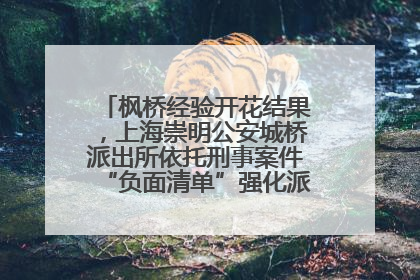 枫桥经验开花结果，上海崇明公安城桥派出所依托刑事案件“负面清单”强化派出所“主防”