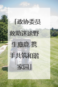 政协委员救助迷途野生麋鹿 携手共筑和谐家园