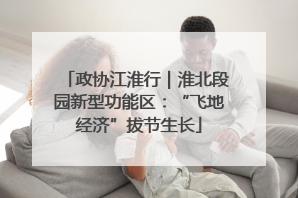 政协江淮行｜淮北段园新型功能区：“飞地经济”拔节生长