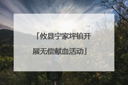 攸县宁家坪镇开展无偿献血活动