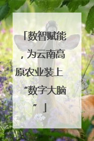 数智赋能，为云南高原农业装上“数字大脑”
