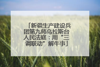 新疆生产建设兵团第九师乌拉斯台人民法庭：用“三调联动”解牛事