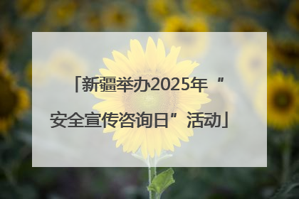 新疆举办2025年“安全宣传咨询日”活动