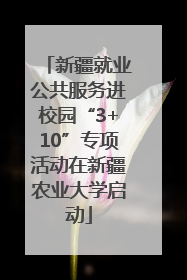 新疆就业公共服务进校园“3+10”专项活动在新疆农业大学启动
