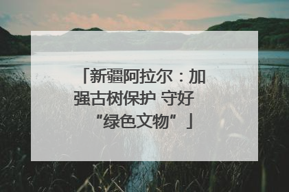 新疆阿拉尔：加强古树保护 守好“绿色文物”