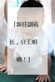 新任副省长，分工明确！