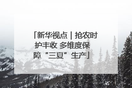 新华视点｜抢农时 护丰收 多维度保障“三夏”生产