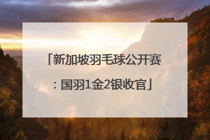新加坡羽毛球公开赛：国羽1金2银收官