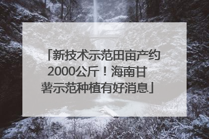 新技术示范田亩产约2000公斤！海南甘薯示范种植有好消息