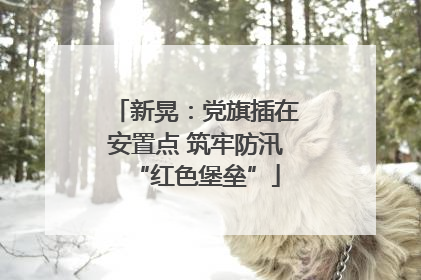 新晃：党旗插在安置点 筑牢防汛“红色堡垒”