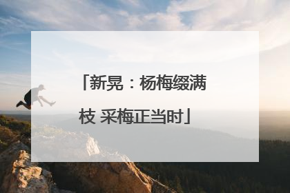 新晃：杨梅缀满枝 采梅正当时