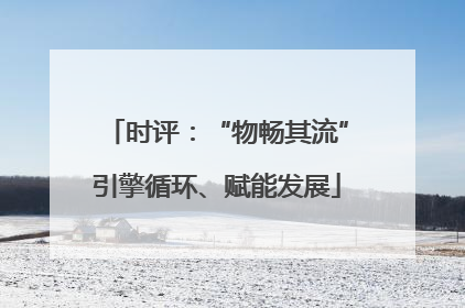 时评：“物畅其流”引擎循环、赋能发展