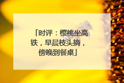 时评：樱桃坐高铁，早晨枝头摘，傍晚到餐桌