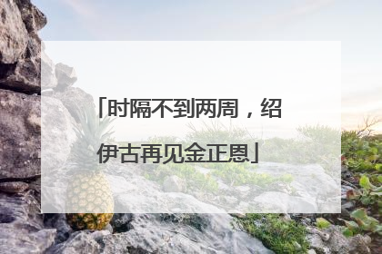 时隔不到两周，绍伊古再见金正恩