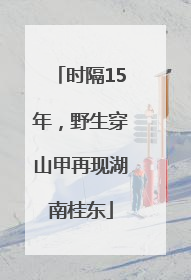时隔15年，野生穿山甲再现湖南桂东