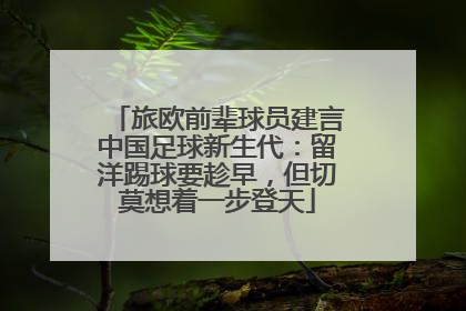 旅欧前辈球员建言中国足球新生代：留洋踢球要趁早，但切莫想着一步登天