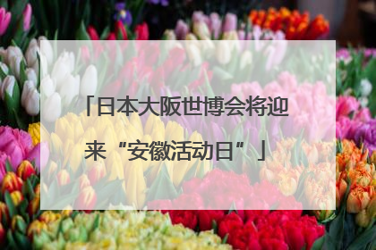 日本大阪世博会将迎来“安徽活动日”