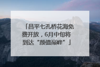 昌平七孔桥花海免费开放，6月中旬将到达“颜值巅峰”