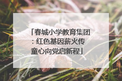 春城小学教育集团：红色基因薪火传 童心向党启新程