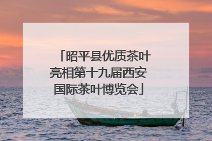 昭平县优质茶叶亮相第十九届西安国际茶叶博览会