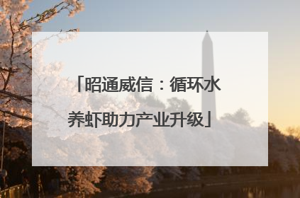 昭通威信：循环水养虾助力产业升级