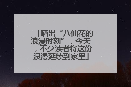 晒出“八仙花的浪漫时刻”，今天，不少读者将这份浪漫延续到家里