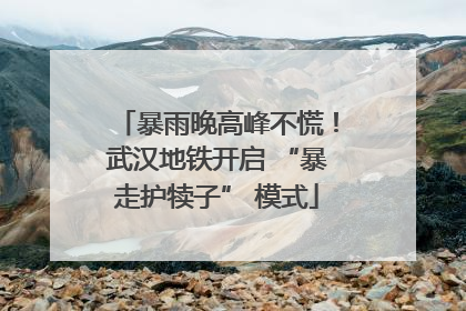 暴雨晚高峰不慌！武汉地铁开启 “暴走护犊子” 模式