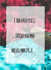 暴雨过后，清淤保畅难在哪儿