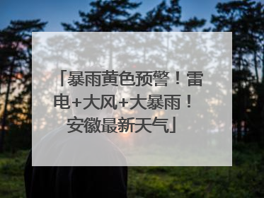 暴雨黄色预警！雷电+大风+大暴雨！安徽最新天气