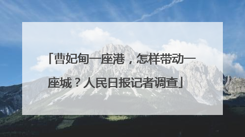 曹妃甸一座港，怎样带动一座城？人民日报记者调查