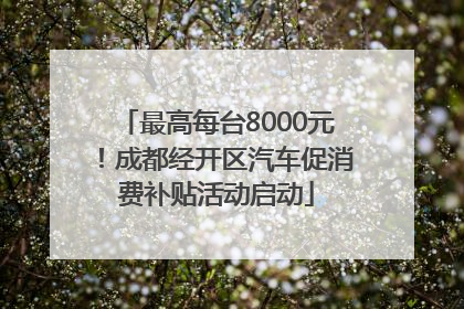 最高每台8000元！成都经开区汽车促消费补贴活动启动