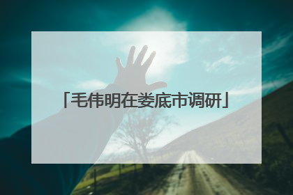 毛伟明在娄底市调研