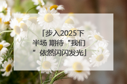 步入2025下半场 期待“我们”依然闪闪发光